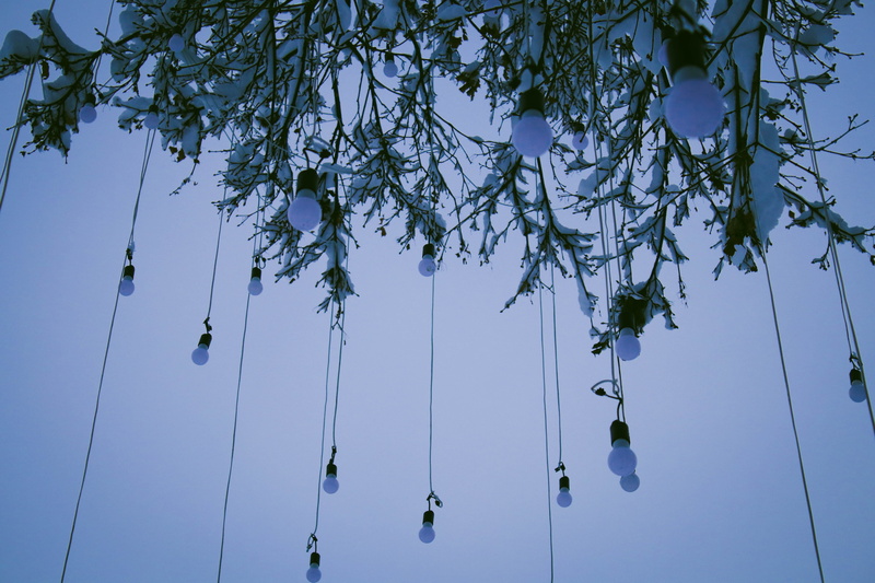 bird, tranquility, beauty in nature, clear sky, flower, plant, adventure, decoration, silhouette, chime, swing, growth, branch, toy, play area, gong, day