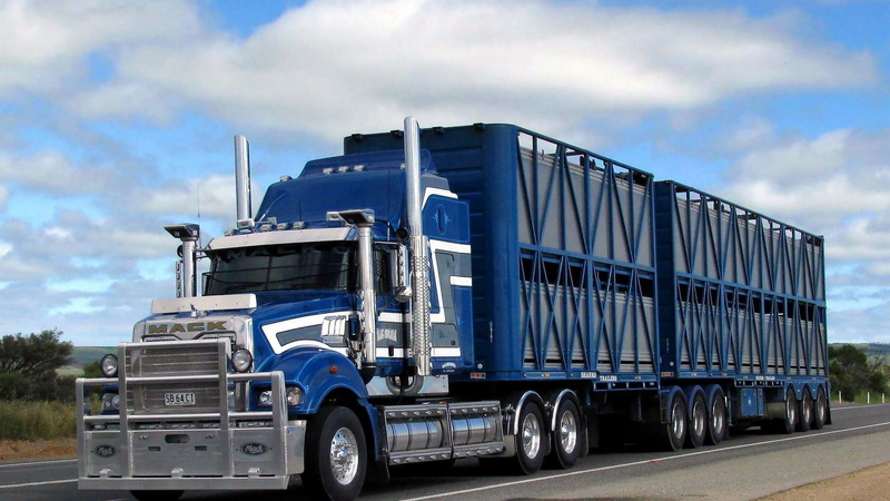 day, multiple lane highway, land vehicle, industry, vehicle trailer, road, nature, large, azul, cloud - sky, trucking, outdoors, commercial land vehicle