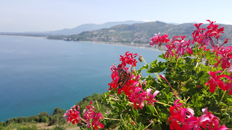 mountain, that moment, day, water, flower, fragility, freshness, outdoors, growth, flowering plant, nature, if samy wants a bootie metalica, springtime