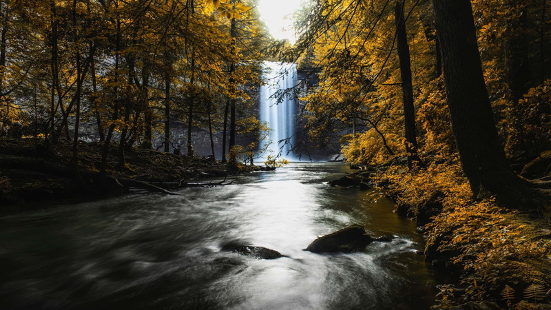 body of water, stream, autumn, tennessee, tree, foster falls, waterfall, landscape, sequatchie, united states, water, river, yellow leaves, forest, yellow trees