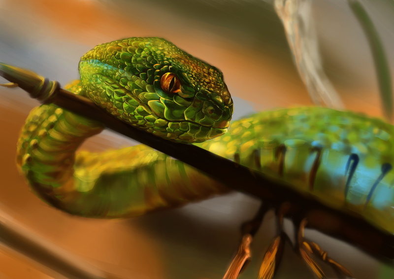 snake, animal body part, one animal, 2K, close-up, focus on foreground, animal themes, plant, animal scale, green color, animal eye, green, insect, animal head
