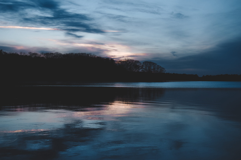 beauty in nature, trees, waterfront, reflection, outdoors, scenics - nature, danvers, tranquility, color, nature, united states, sky, tranquil scene, tree