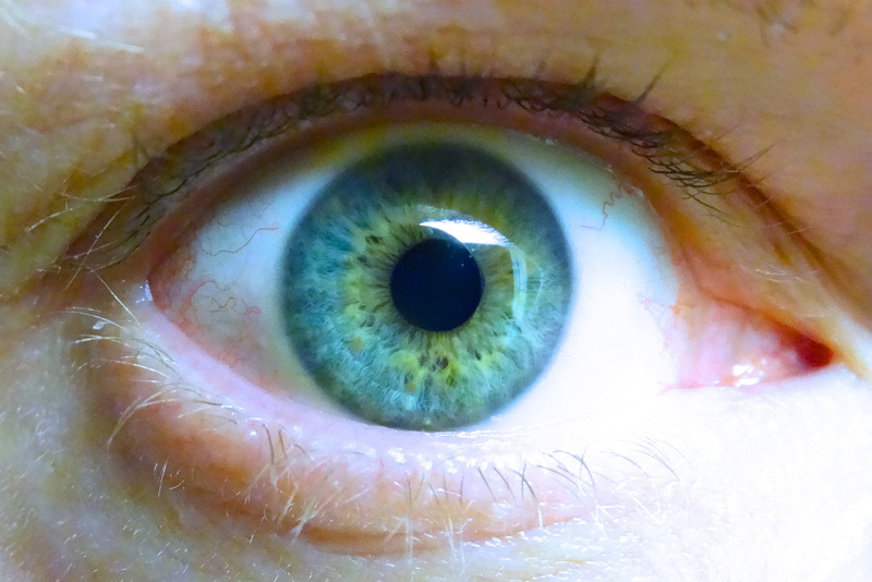 focus, photography, eye, human Eye, eyelash, eyesight, blue, 2K, detail, real people, close-up, peek, eyelashes, eyelid, sensory perception, one person