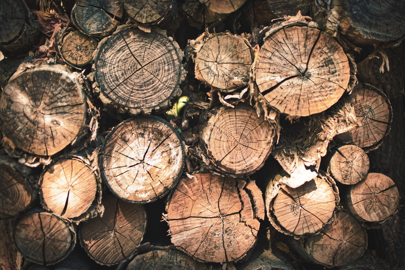 deforestation, shape, wood - material, nature, holzstapel, timber, abstract, log, backgrounds, abundance, decoration, full frame, 5K, round, forest, lumber industry