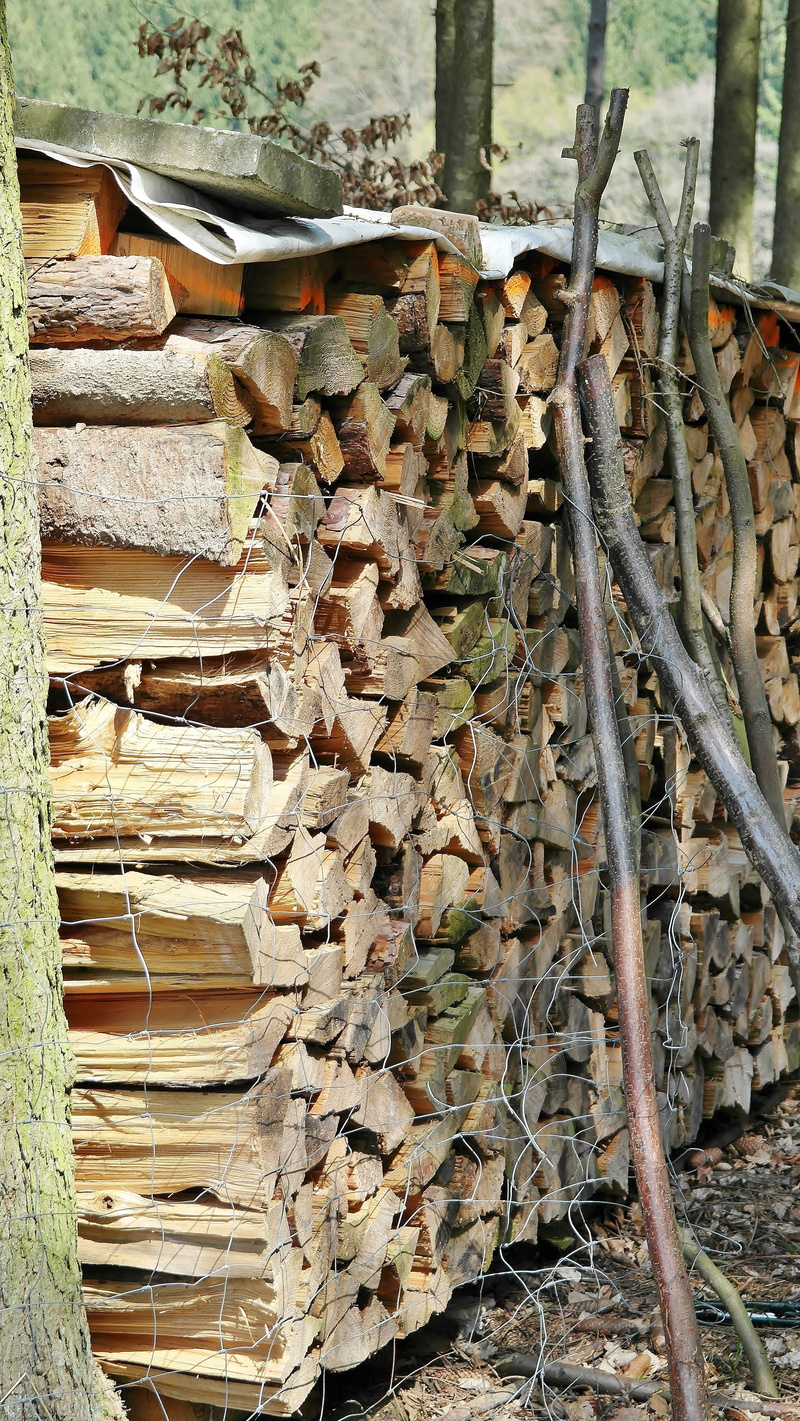 growing stock, like, tree trunks, wood - Material, firewood, bark, heap, cut down, logging, nature, abundance, lumber, trees, strains, sawn, lumberjack