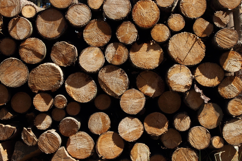 nature, strains, tree, environmental issues, forestry, timber, large group of objects, holzstapel, forest, full frame, log, chopped, heap, lumber Industry