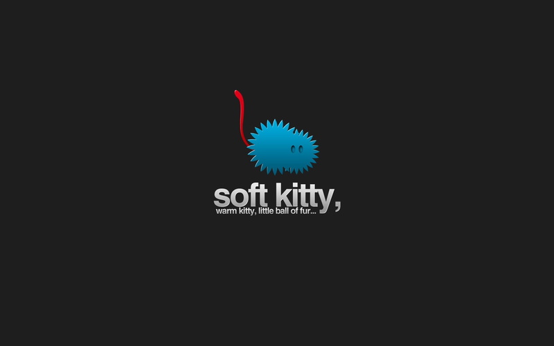 1080P, The Big Bang Theory, Cat, TV Show