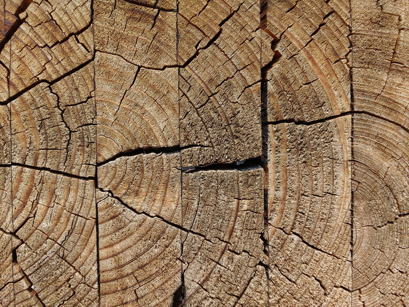 jumped, wood, weathered, day, backgrounds, annual rings, tree ring, close-up, textured, old, nature, cracked, tree stump, environmental issues, glued, trunk