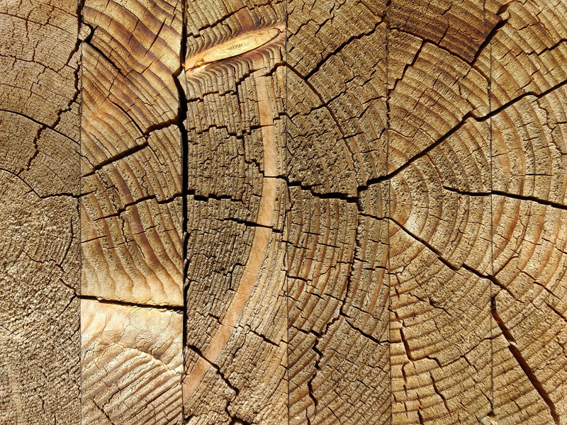 background, old, tree ring, day, wood, arid climate, no people, backgrounds, weathered, jumped, full frame, glued, tree Stump, textured, cracked, close-up