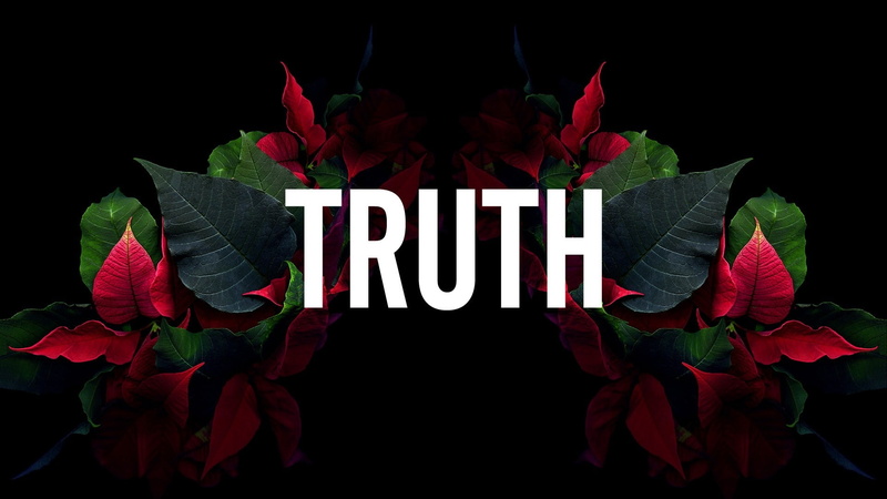 communication, fragility, leaves, message, flowers, Others, flowering plant, black background, 1080P, nature, freshness, truth hurts, flower, no people