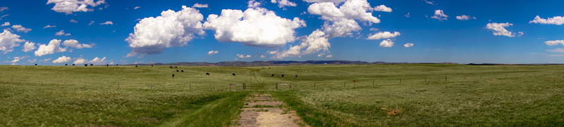 blue, brown, green field, M2, summer, field, sky, scenics, rural Scene, Home home, LightRoom, walkway, middle, home on the range, clear, 8K, fences, HFF