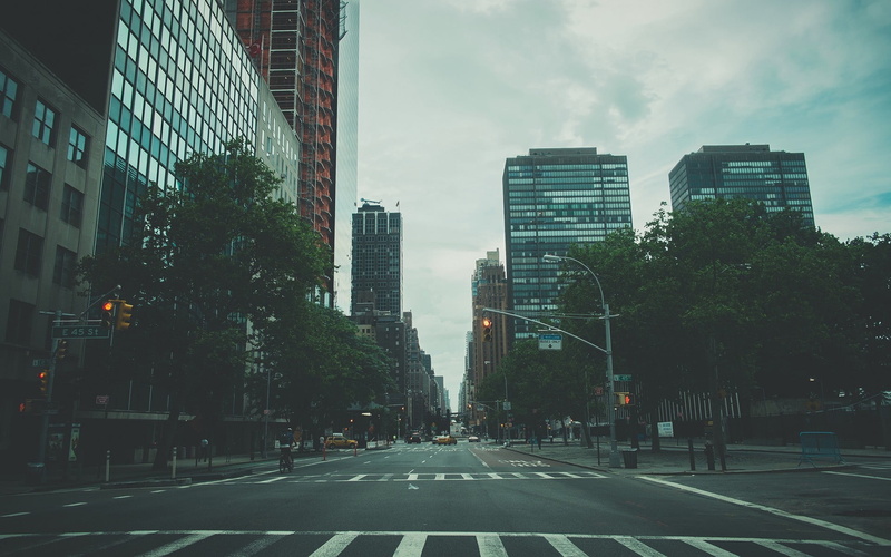 nature, city street, cityscape, tall - high, plant, road, black, urban Scene, architecture, built Structure, city Life, sky, car, cloud - sky, marking