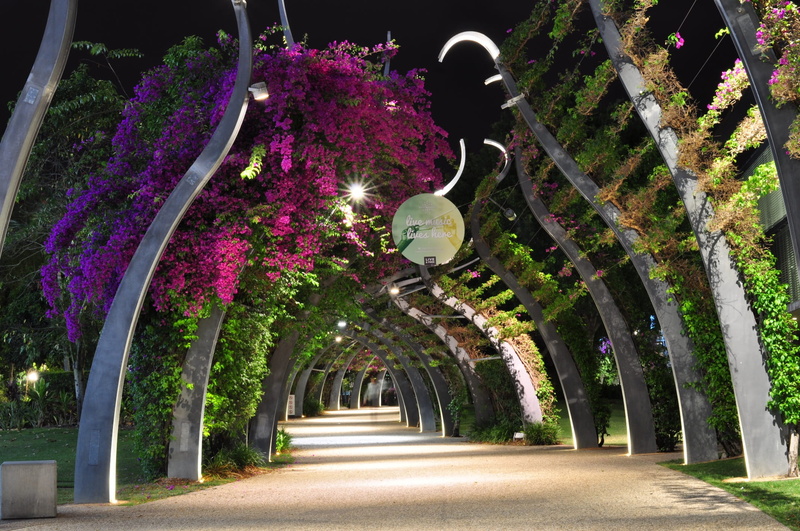 cityscape, queensland, lighting equipment, brisbane, arch, no people, city, parklands, built structure, landmark, flower, flowering plant, sunlight, plant