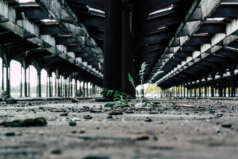 architecture, 5K, connection, in a row, bridge, abandoned, selective focus, growth, transportation, outdoors, liberty state park, day, no people, city