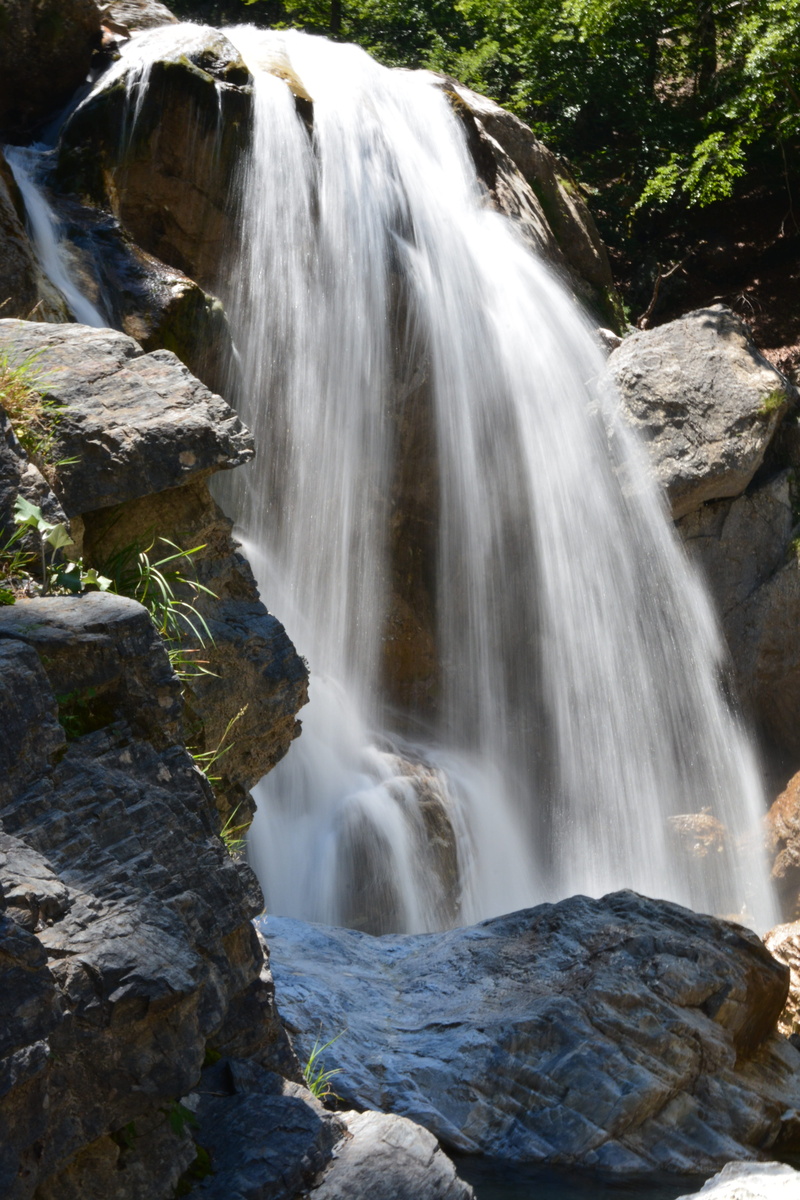 tree, water, river, rainforest, day, flow, running water, waterfall, no people, motion, tamron 70-200 2, flowing water, blurred motion, rocks, rock, shutter speed