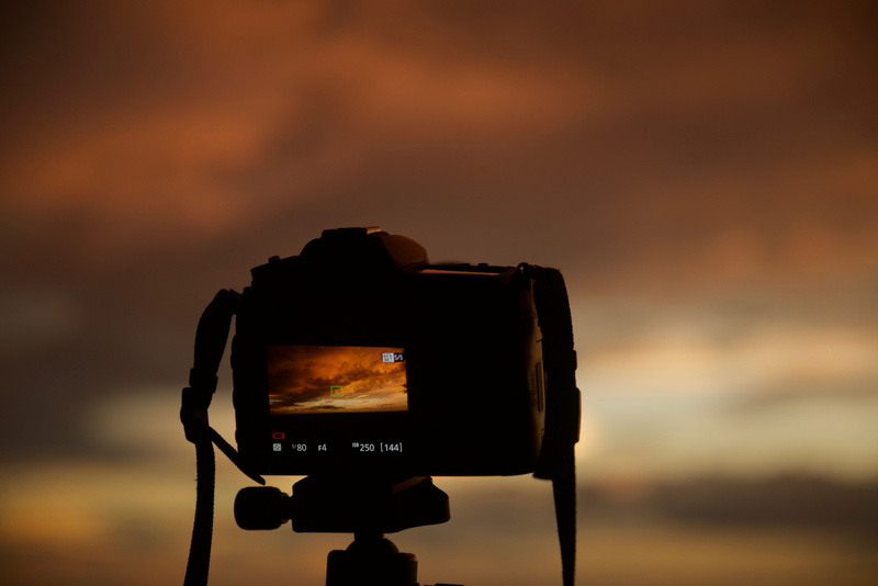 focus, nature, tripod, waco, d7100, digital viewfinder, silhouette, screen, close-up, united states, bokeh, filming, camera - photographic equipment, activity