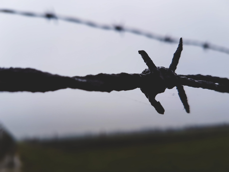day, boundary, sharp, security, close-up, safety, warning sign, field, never forget, barbed wire, metal, focus on foreground, sky, outdoors, remember, wire