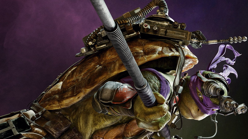 1080P, Donatello (TMNT), Teenage Mutant Ninja Turtles