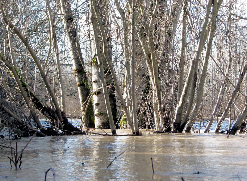 river, flooding, banks, spring, stuck, 3d and abstract, 1080P