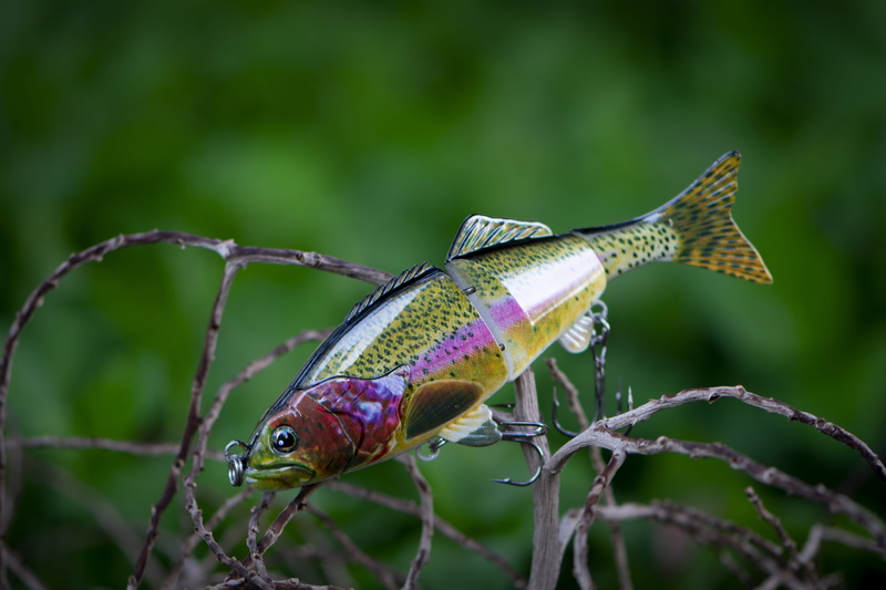 purple, one animal, focus on foreground, beauty in nature, 5K, fish lure, fishing lure, stuck, flower, green color, day, invertebrate, animal themes, spread wings