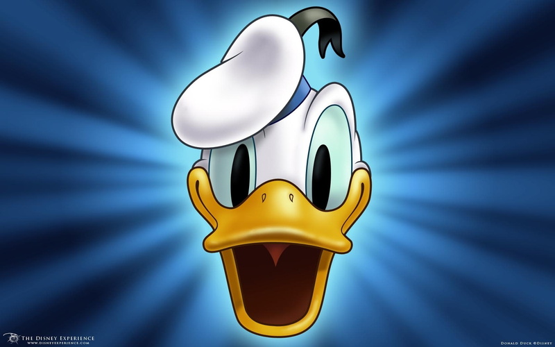 art, duck, animals, x, ducks, 720P, Donald Duck, hd, donald