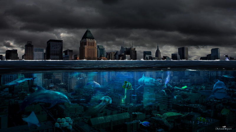new york, fish, ny, 3d and abstract, under, water, 1080P