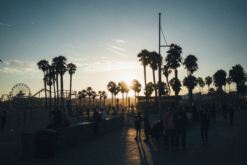 tree, large group of people, america, pier, leisure activity, palm tree, built structure, nature, silhouette, tropical climate, architecture, handstand