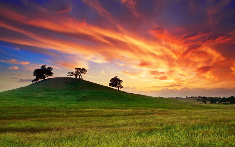 1080P, Trees, Grass, Spring, Hill, near, California, green, Sunset, USA, Sky, Red, field