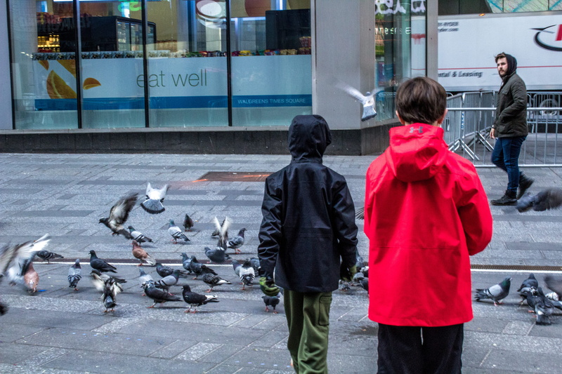 outdoors, children, large group of animals, warm clothing, rear view, child, nyc, united states, lifestyles, pigeon, people, animal wildlife, usa, women