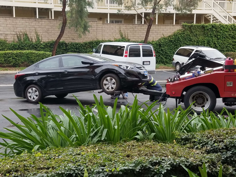 motor vehicle, grass, tow truck, luxury, 4K, plant, outdoors, growth, nature, hyunadai elantra, stationary, transportation, towed, mode of transportation