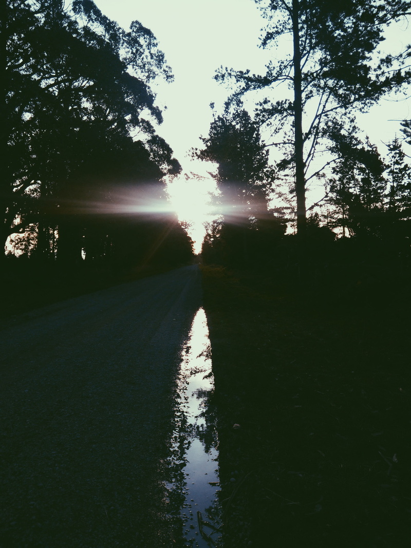 diminishing perspective, direction, water, scenics - nature, sunlight, kirwee, lens flare, tranquility, sun, 4K, tranquil scene, puddle, nature, outdoors