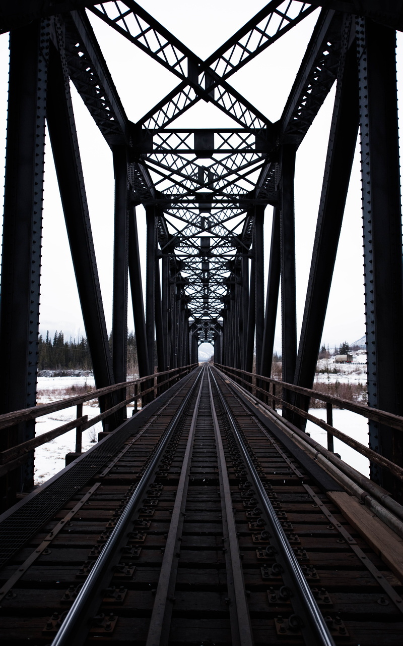 railway bridge, bridge - man made structure, mountains, train, bridge, girder, metal, rust, transportation, built structure, diminishing perspective, nature