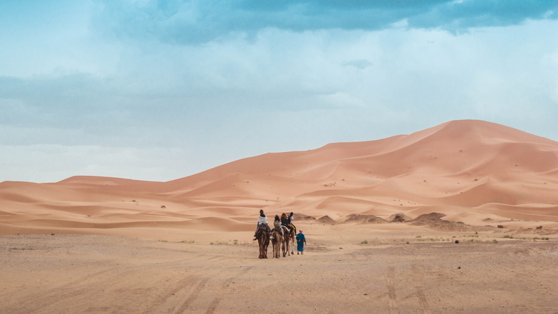 beauty in nature, land, heat, desert, arid climate, sandy, mammal, riding, across, sky, cloud - sky, sand dune, domestic animals, sahara, dune, scenics - nature
