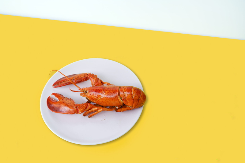 wellbeing, dinner, lobster, cooked, studio shot, animal body part, on the table, seafood, top, minimal, animal, crustacean, indoors, meat, food photography
