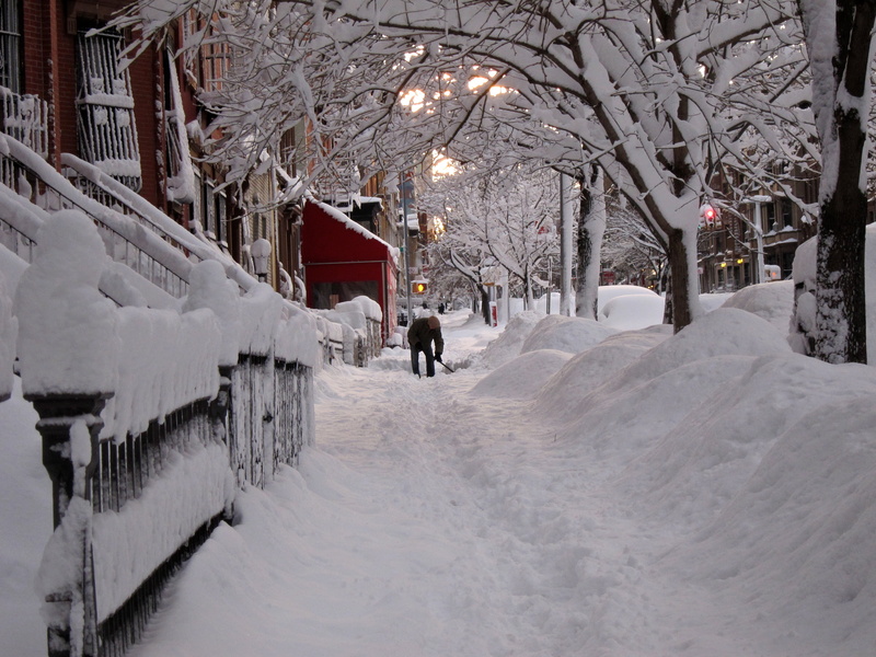 white color, blizzard, snowing, frozen, christmas, ice, plant, lifestyles, New_York, bare, USA, extreme weather, incidental people, walking, the city, men