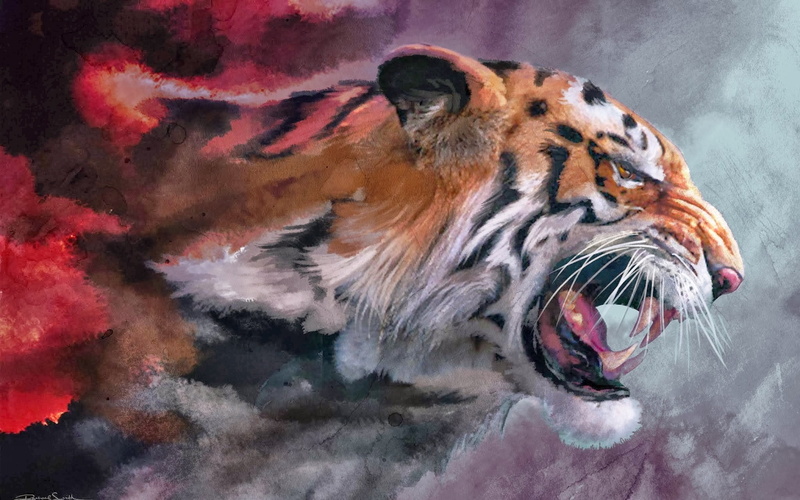 animal, mouth open, big cats, close-up, animal mouth, mouth, animals, animal wildlife, aggression, vertebrate, one animal, big cat, carnivora, animal head