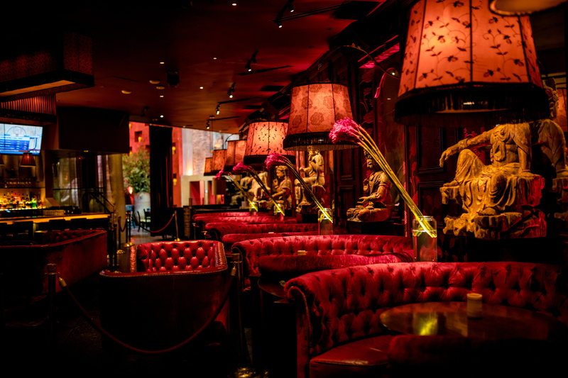 lighted, animal, large group of objects, abundance, bar counter, night, human, interior design, theater, bar, indoors, electric lamp, illuminated, business
