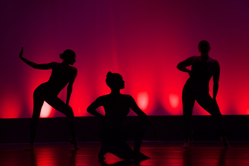 stage - performance space, dance floor, dance, nightlife, ballet, lifestyles, women, fitness, leisure activity, disco, tango, person, exercise, arts culture and entertainment