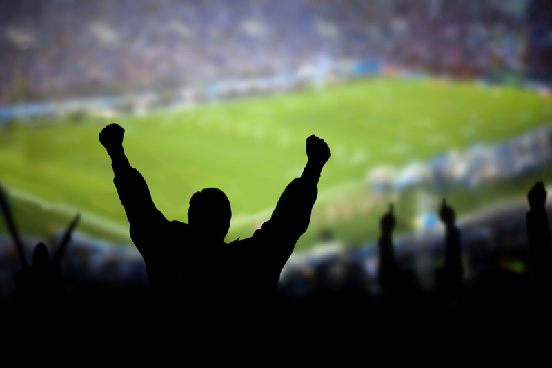 males, fan - Enthusiast, joy, team sport, victory, hope, lifestyles, silhouette, fan, positive emotion, real people, praying, one Person, back Lit, stadium