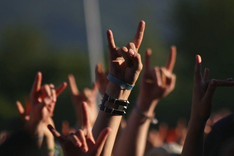 males, stage, human Arm, performing Arts Event, body part, music Festival, hand, leather, hands, teamwork, live Event, arms Outstretched, stage Light, festival