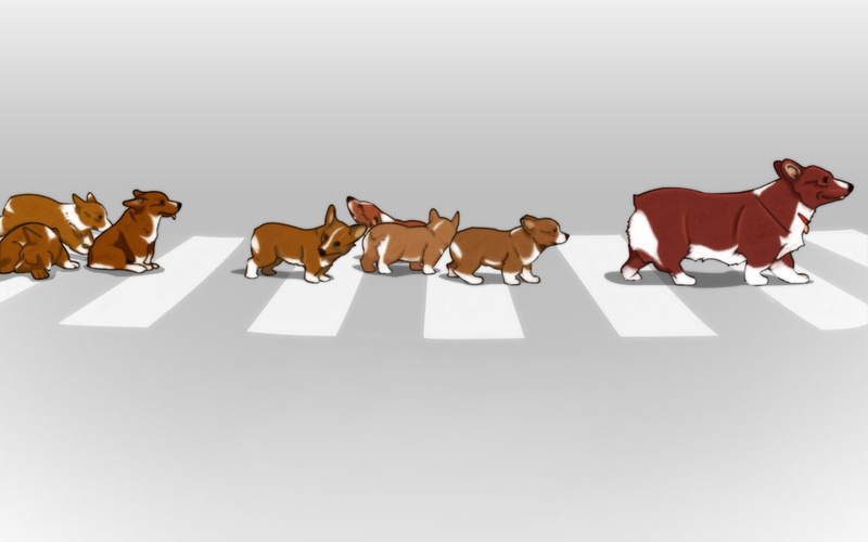 cowboy bebop, bebop, hd, 720P, anime, art, x, cowboy, ein