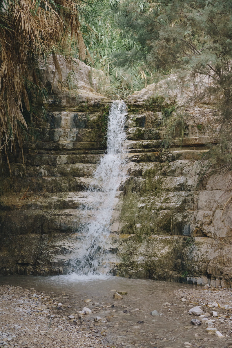 5K, tourism, green, tree, river, rock, wood, forest, falling water, stone, rock - object, time, photography, mountain, blurred motion, daylight, fall