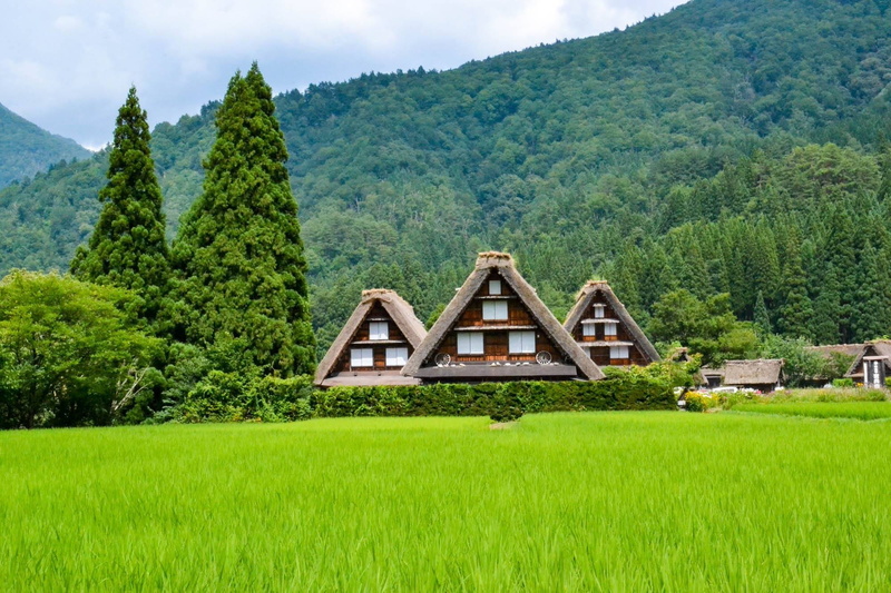 environment, evergreen tree, japan, season, kawaguchi, japanese, beauty in nature, scenics - nature, kawaguchiko, asia, near, architecture, landmark, building exterior