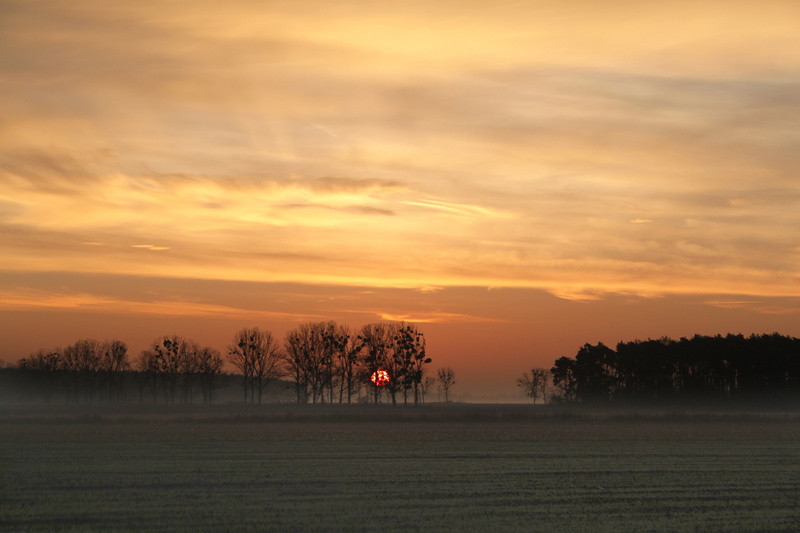 no people, beauty in nature, idyllic, cloud - sky, environment, peace of mind, tranquility, nature, orange, sky, scenics, the fog, dawn, morning, november
