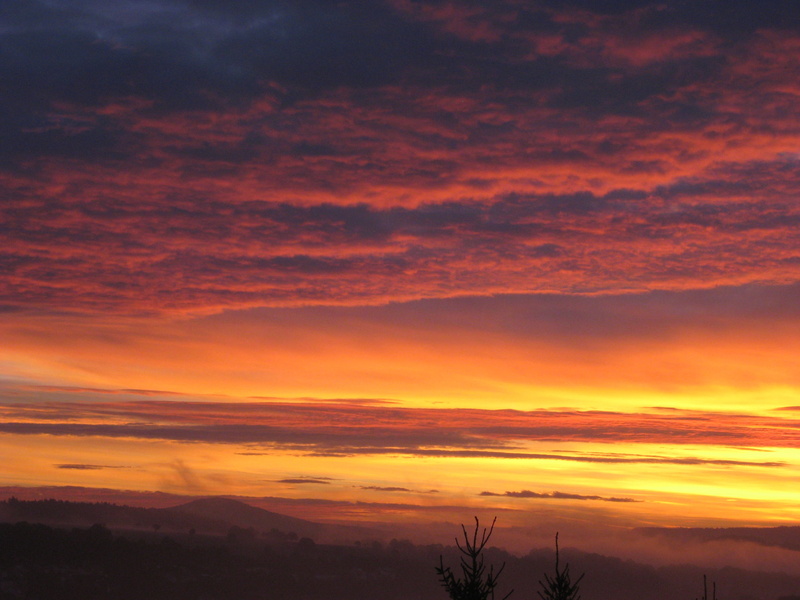 Skies, non-urban scene, Morgenrot, Sun, orange Color, outdoors, horizon, no people, yellow, romantic sky, scenics, beauty In Nature, dramatic sky, plant