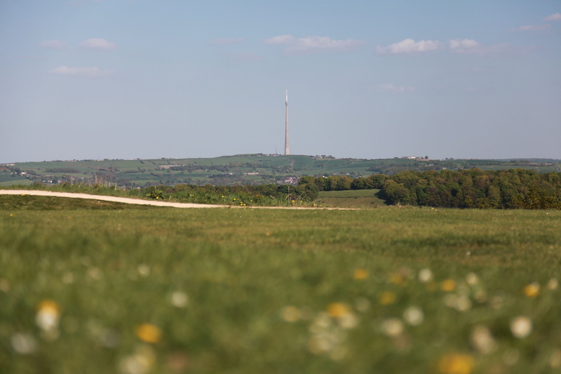 scenery, 5K, television, greenery, tree, environment, countryside, yorkshire, moor, beauty in nature, hilltop, technology, radio, land, grass, blue, tranquil scene