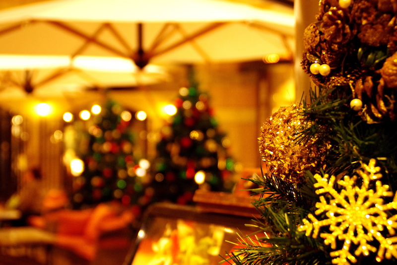 christmas, tokyo, christmas ornament, decoration, restaurant, night, tree, luxury, no people, illuminated, christmas decoration, plant, christmas lights