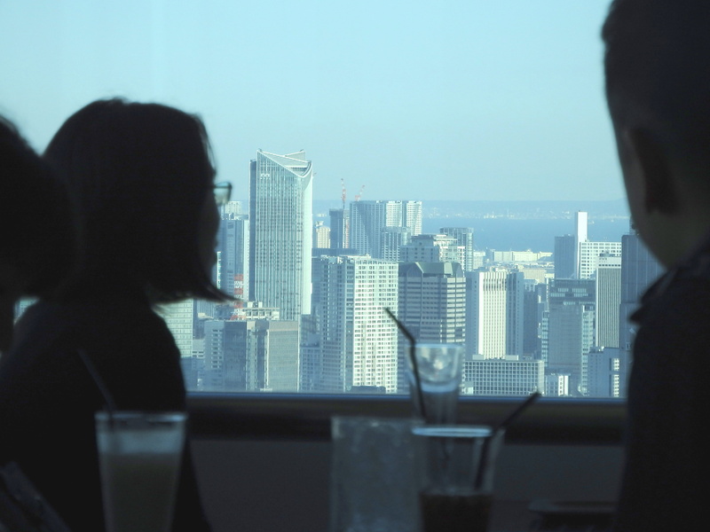 faded, people, headshot, city, silhouette, built structure, metropolis, women, roppongi, birds eye view, rear view, japanese, minato, windows, modern, mori tower