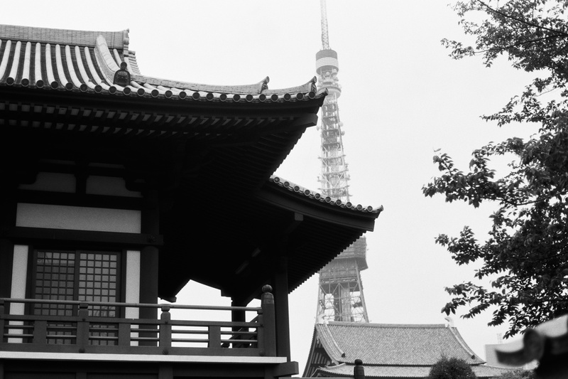 roof tile, 5K, religion, tree, sky, architecture, building, low angle view, minato-ku, tokyo tower, no people, travel destinations, zōjō-ji, black and white