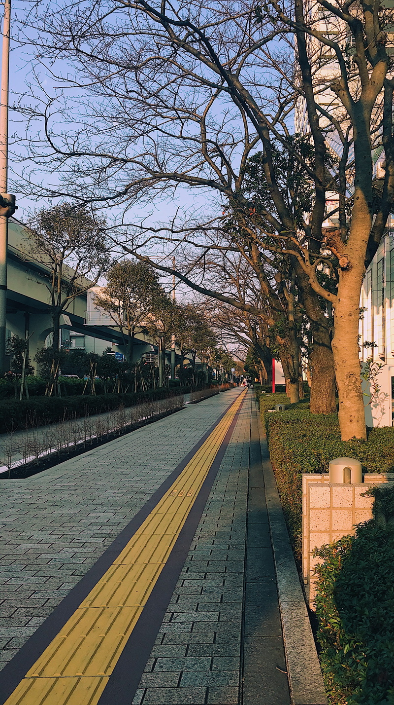 bare tree, architecture, plant, cobblestone, day, track, vehicle, yellow, diminishing perspective, terminal, the way forward, tree, railway, path, train station